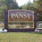 Welcome To Pansy